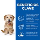 Hill's Science Plan Youthful Vitality Adult Small & Mini Pollo pienso para perros, , large image number null